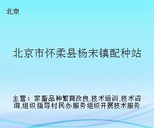 懷柔畜牧技術服務站 深化配種技術咨詢，助力鄉村振興